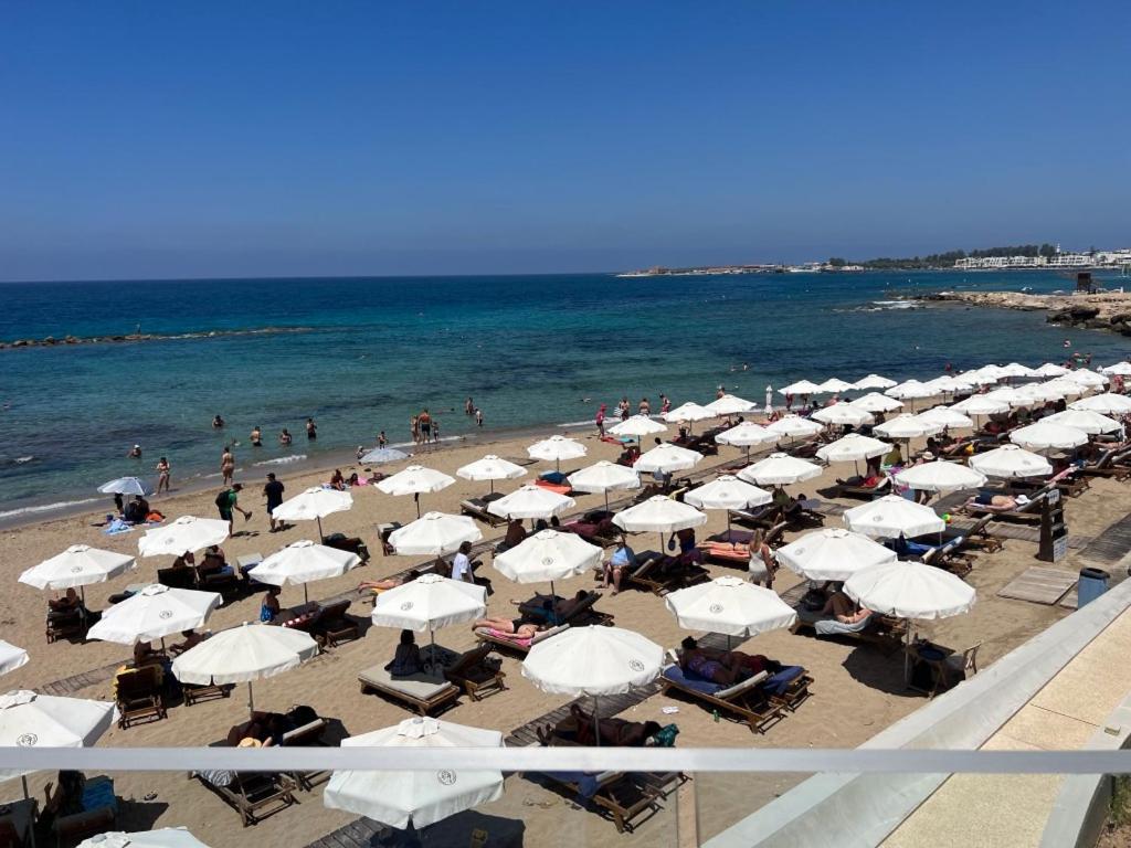 Modern 2Br Apartment With Pool, Veranda & Garden In Paphos Extérieur photo